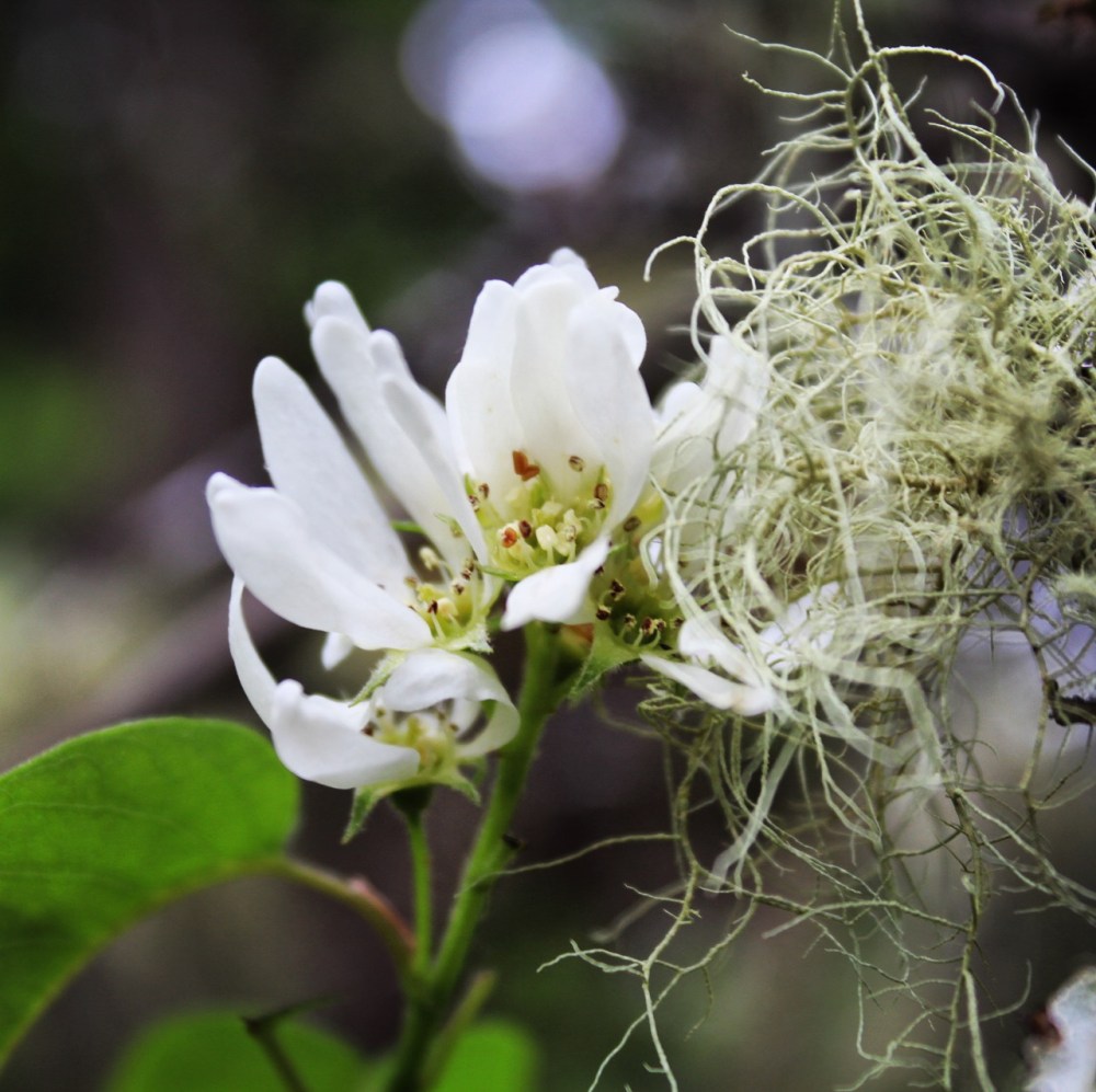 333CD219-CB2B-454D-B1D5-9BE39CFF3BFA