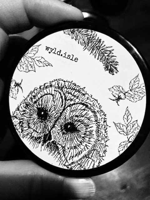 barred owl with rosehips and grand fir